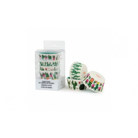 Chese 50x32 mm Cactusi