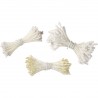 Pistile flori