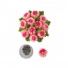 DUI MARGARETA