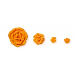 Set 4 duiuri